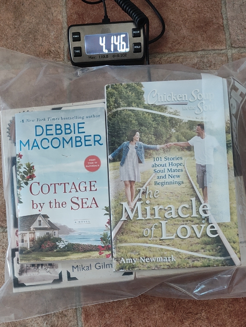 SPRING READING: BOOK BUNDLE BAG